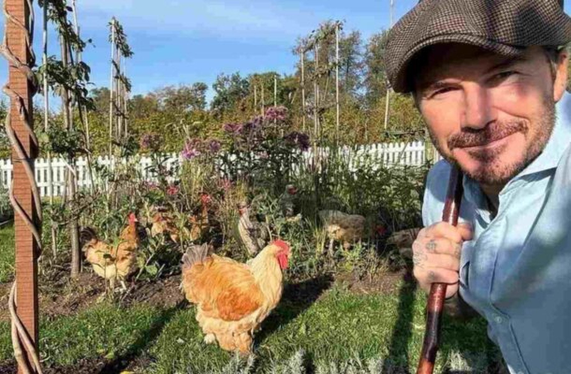 David Beckham sofre de doença inflamatória de pele; caso não tem cura