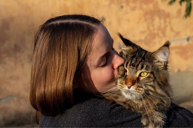 Algumas raças de gatos se destacam pela característica afetuosa, sendo uma escolha ideal para aqueles que buscam uma conexão mais próxima com o animal (Imagem: glebantiy | Shutterstock)  -  (crédito: EdiCase)