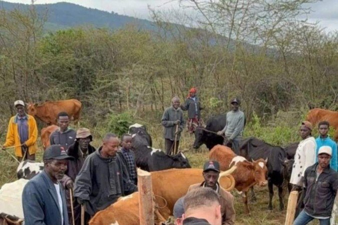 Neste mês, as primeiras inseminações foram realizadas na comunidade Visoi Ward, no condado de Nakuru