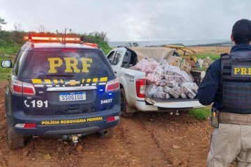 PRF flagra transporte irregular de meia tonelada de carne em Goiás