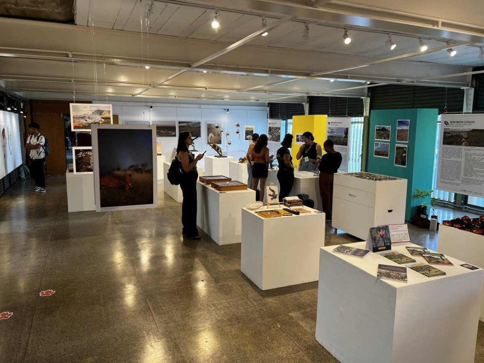 A exposição traz diversos elementos presentes no bioma do Cerrado