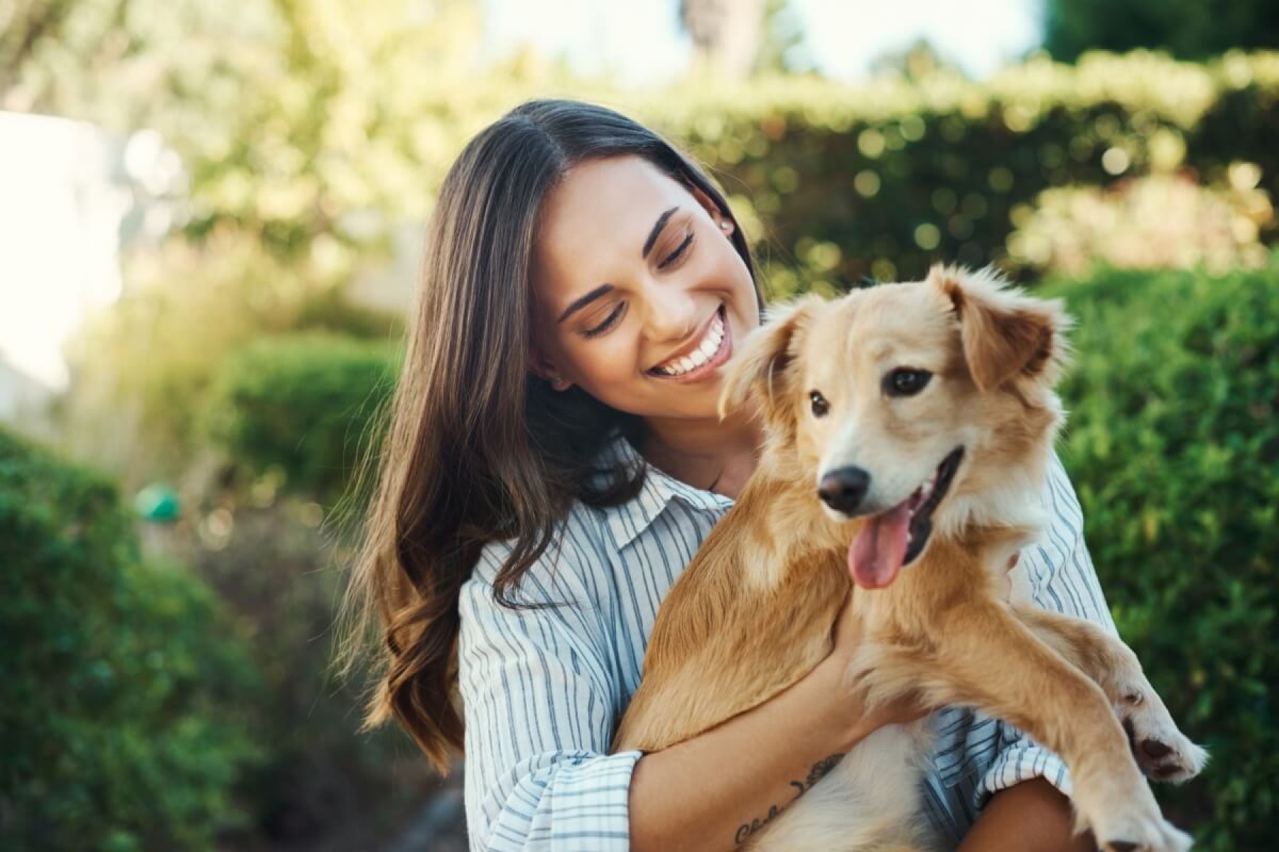 Veja como proteger seu animal dos riscos de envenenamento