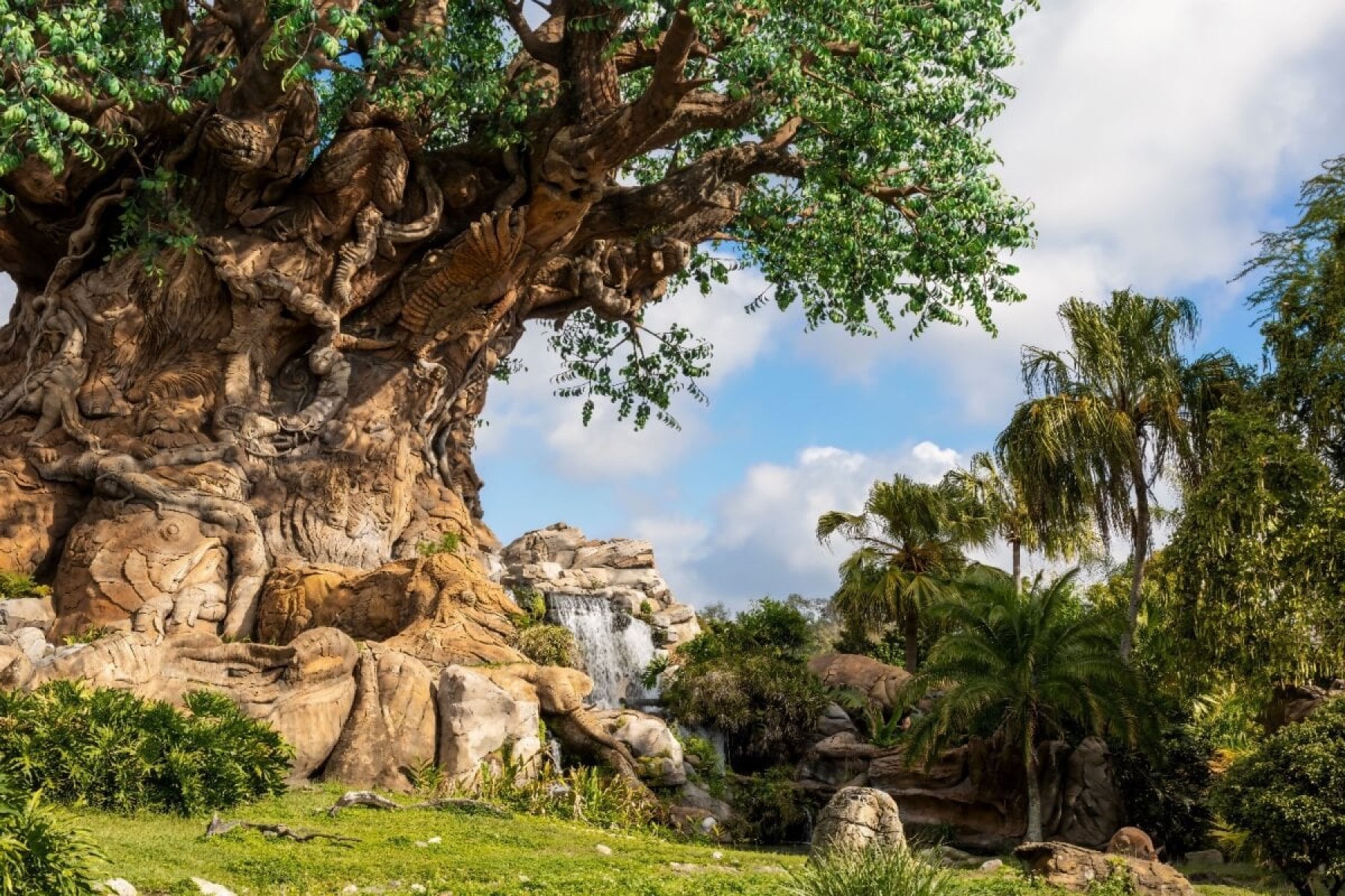 6 atrações imperdíveis do Disney’s Animal Kingdom