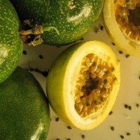  Aproveitamento integral da cadeia produtiva é outro destaque  -  (crédito: Divulgação/Embrapa)