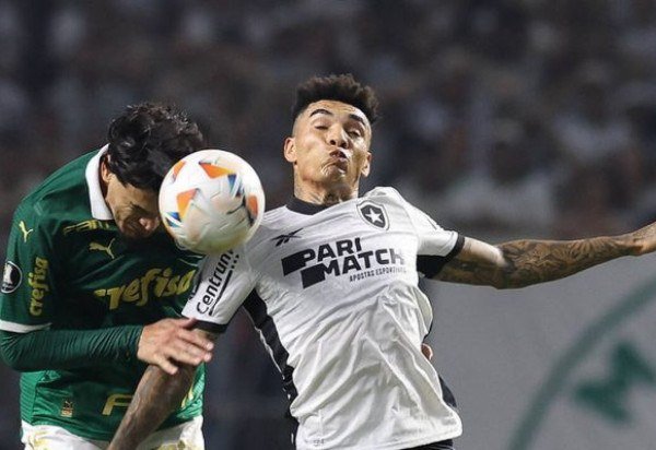 Foto: Cesar Greco/Palmeiras