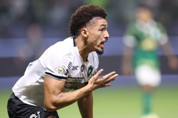 Botafogo retoma liderança do Palmeiras com cabeça fria e coração quente - 