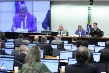 A proposta foi apresentada pelo relator do Orçamento, senador Angelo Coronel (PSD-BA) -  (crédito: Vinicius Loures/Câmara dos Deputados)