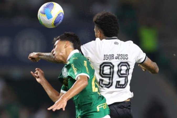 Palmeiras não venceu nenhum adversário do G-5 no Brasileiro -  (crédito: Foto: Vitor Silva/Botafogo.)