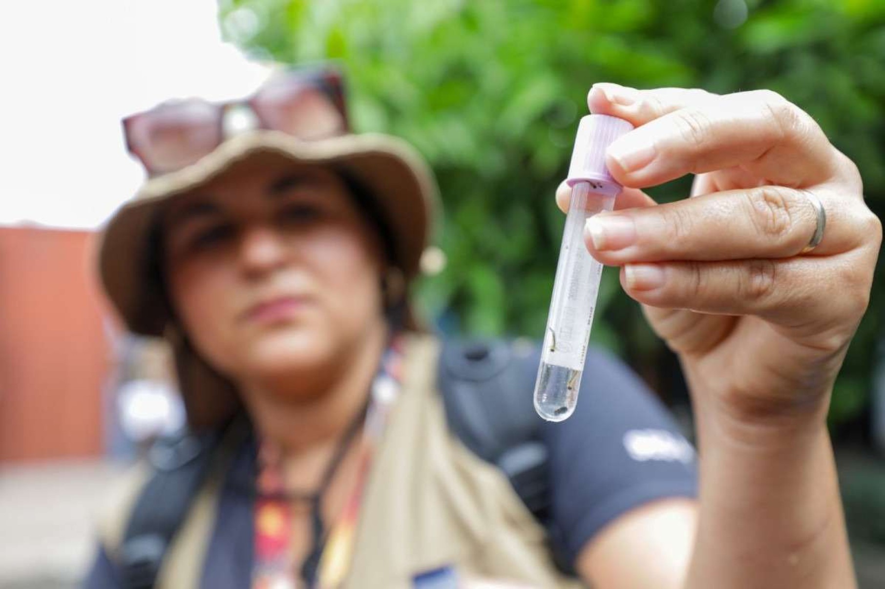 Cresce risco de surto de dengue em áreas do Distrito Federal