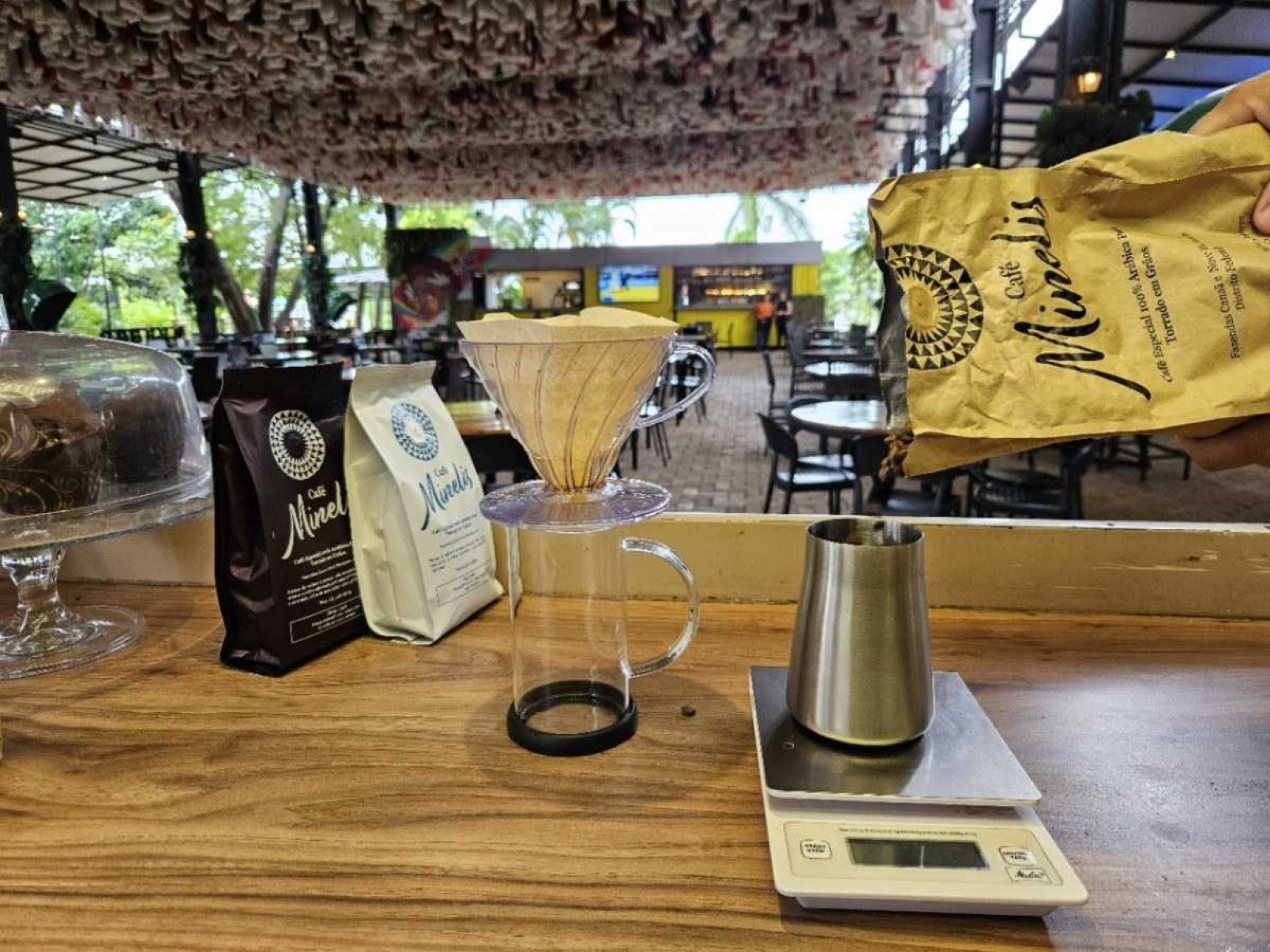 Café dá o tom de evento musical e gastronômico no Bosque