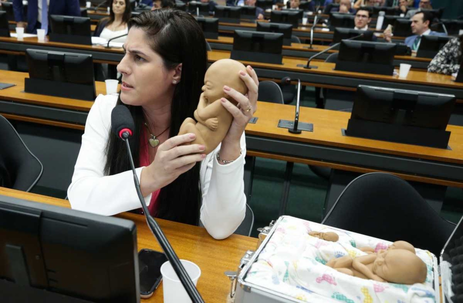 PEC contra aborto legal é aprovada na CCJ sob protestos