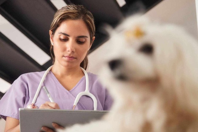 Dados mostram que é comum que veterinários enfrentem problemas de saúde mental -  (crédito: Agência Brasil)