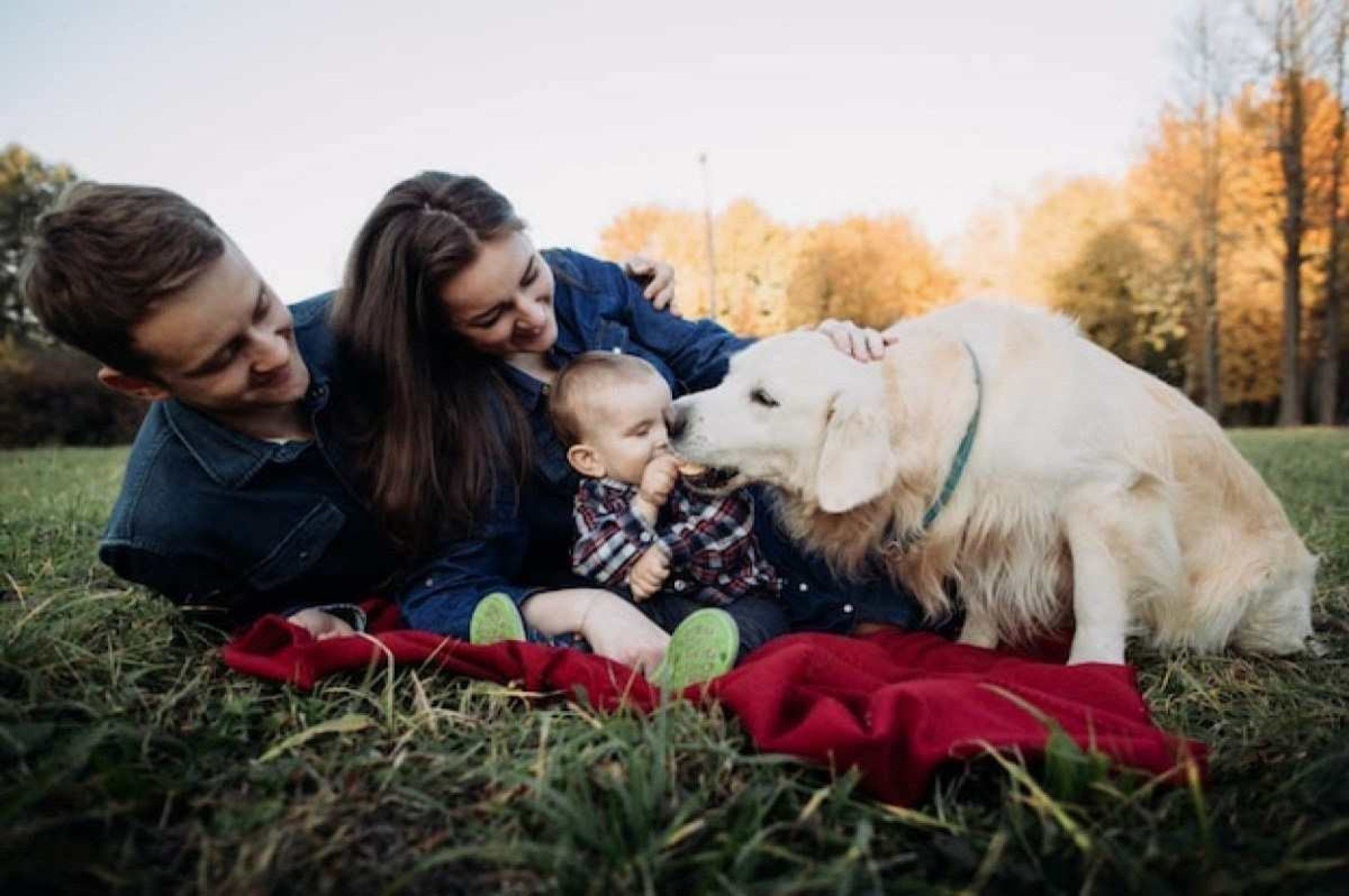 Pets ajudam na imunidade dos bebês, aponta pesquisa sueca