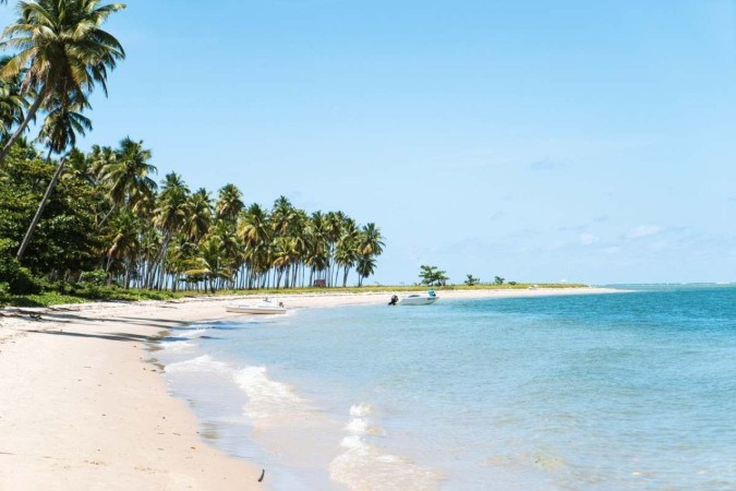 Praia de Carneiros, Pernambuco -  (crédito: Unsplash)