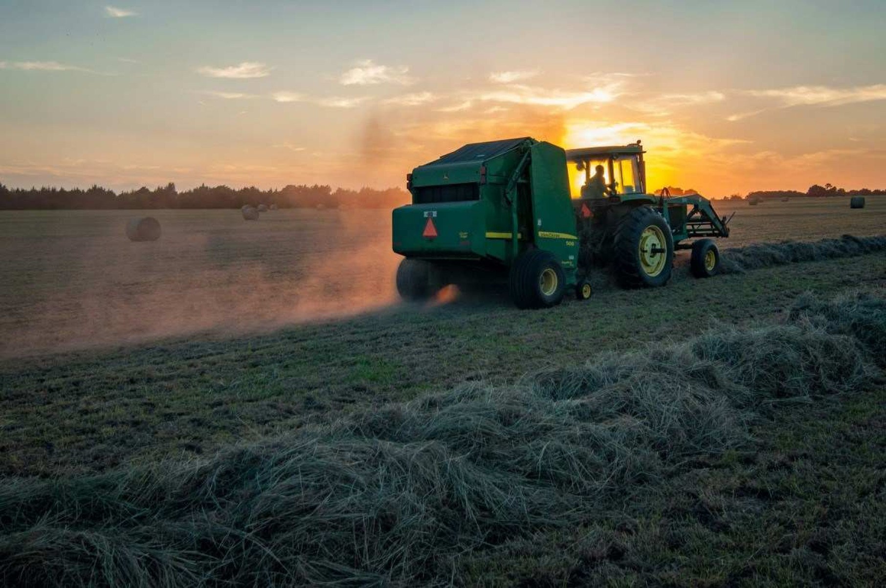 Agricultura intensiva e desmatamento levam planeta 