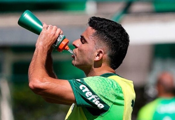 Foto: Cesar Greco/Palmeiras 