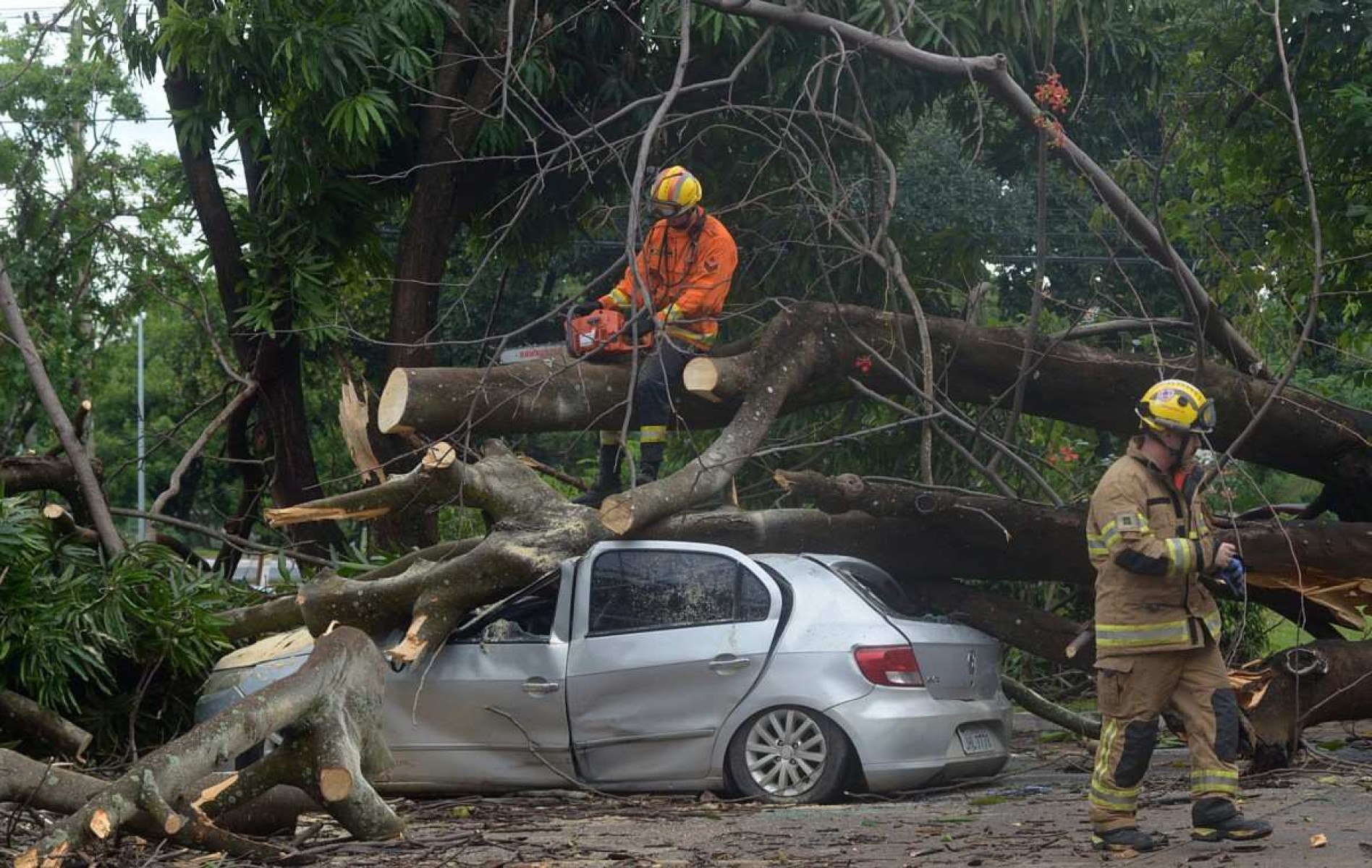  03/12/2024 Credito: Ed Alves/CB/DA.Press. Cidades. Árvore cai e atinge 4 carros e moto no Sudoeste. 