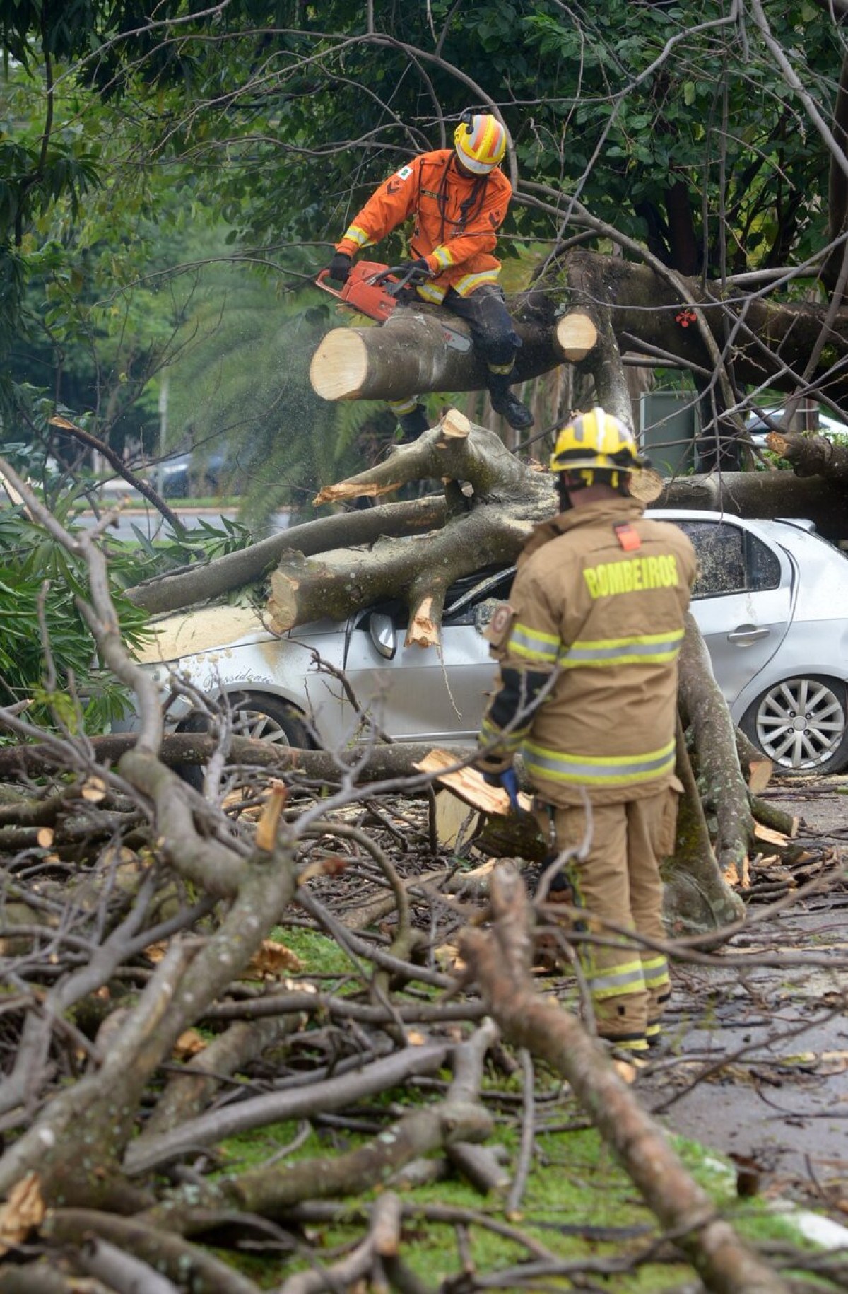  03/12/2024 Credito: Ed Alves/CB/DA.Press. Cidades. Árvore cai e atinge 4 carros e moto no Sudoeste. 