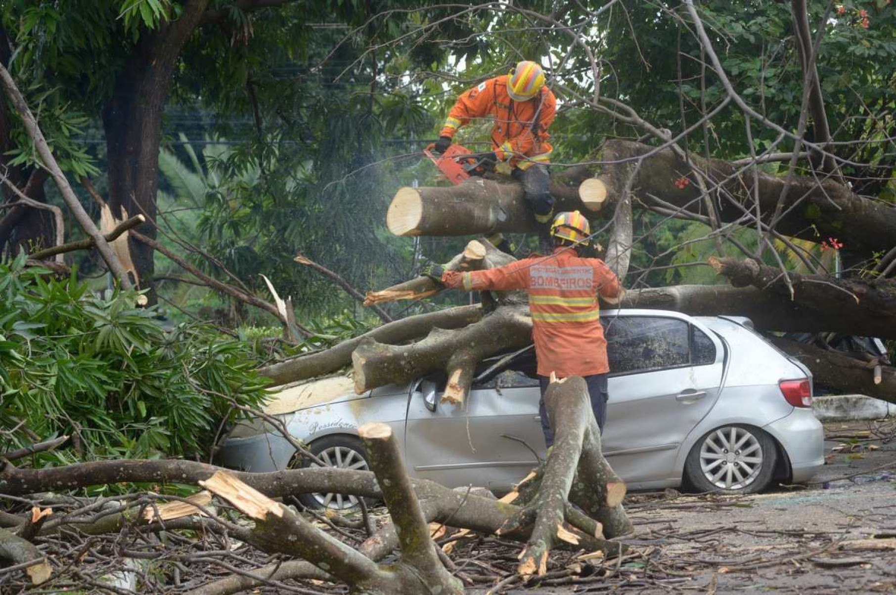  03/12/2024 Credito: Ed Alves/CB/DA.Press. Cidades. Árvore cai e atinge 4 carros e moto no Sudoeste. 