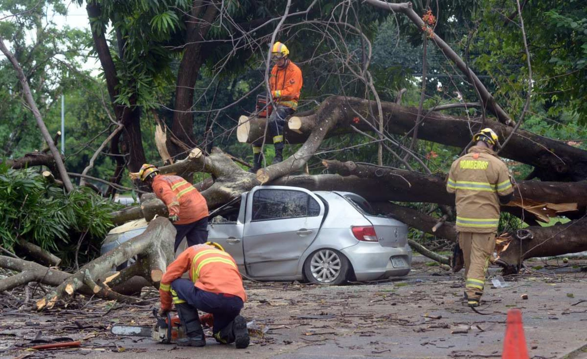  03/12/2024 Credito: Ed Alves/CB/DA.Press. Cidades. Árvore cai e atinge 4 carros e moto no Sudoeste. 