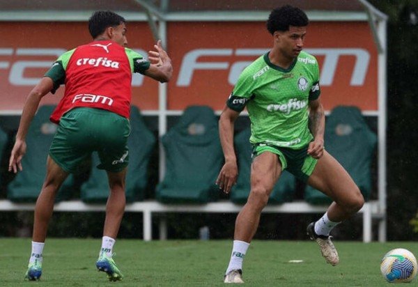 Foto: Cesar Greco/Palmeiras