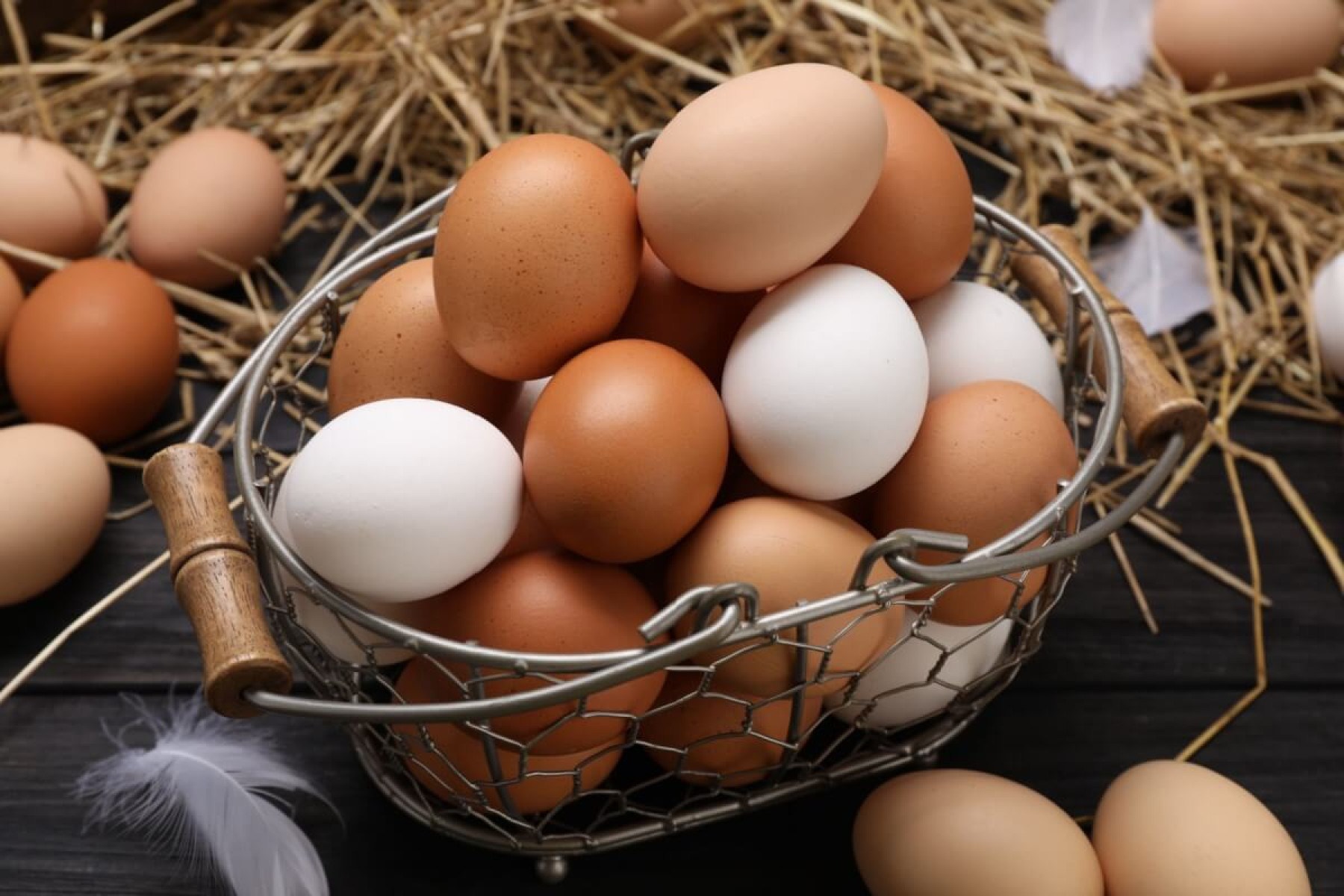 Veja os riscos da dieta do ovo para a saúde física e mental