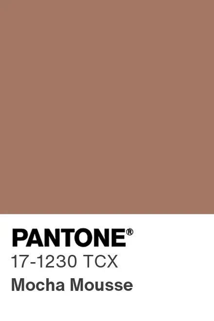 Mocha Mousse é a cor de 2025 pela Pantone.