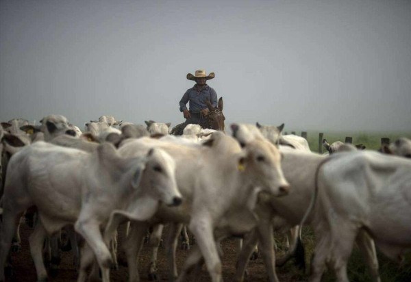 Mauro Pimentel/AFP       