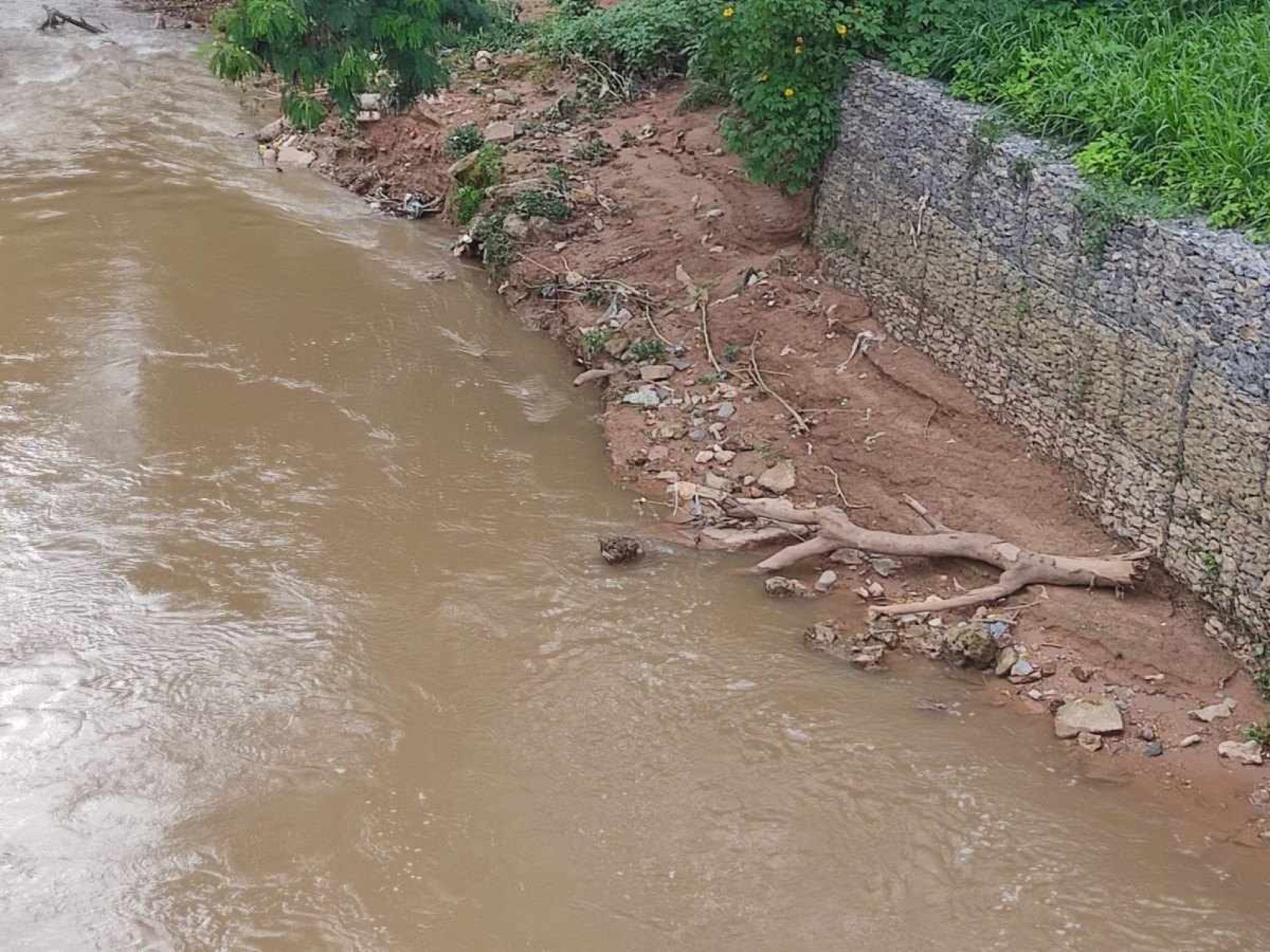 Trecho do Rio Melchior com água turva e lixo na margem