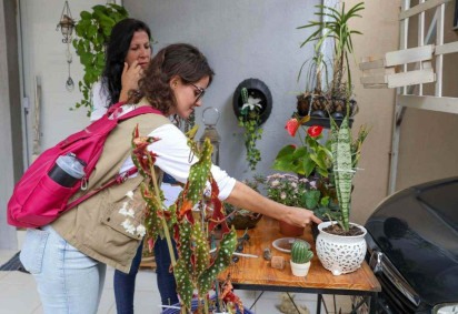 5 mil imóveis são visitados diariamente para inspeção e orientação contra o a dengue -  (crédito: Foto: Reprodução Agência Brasília)