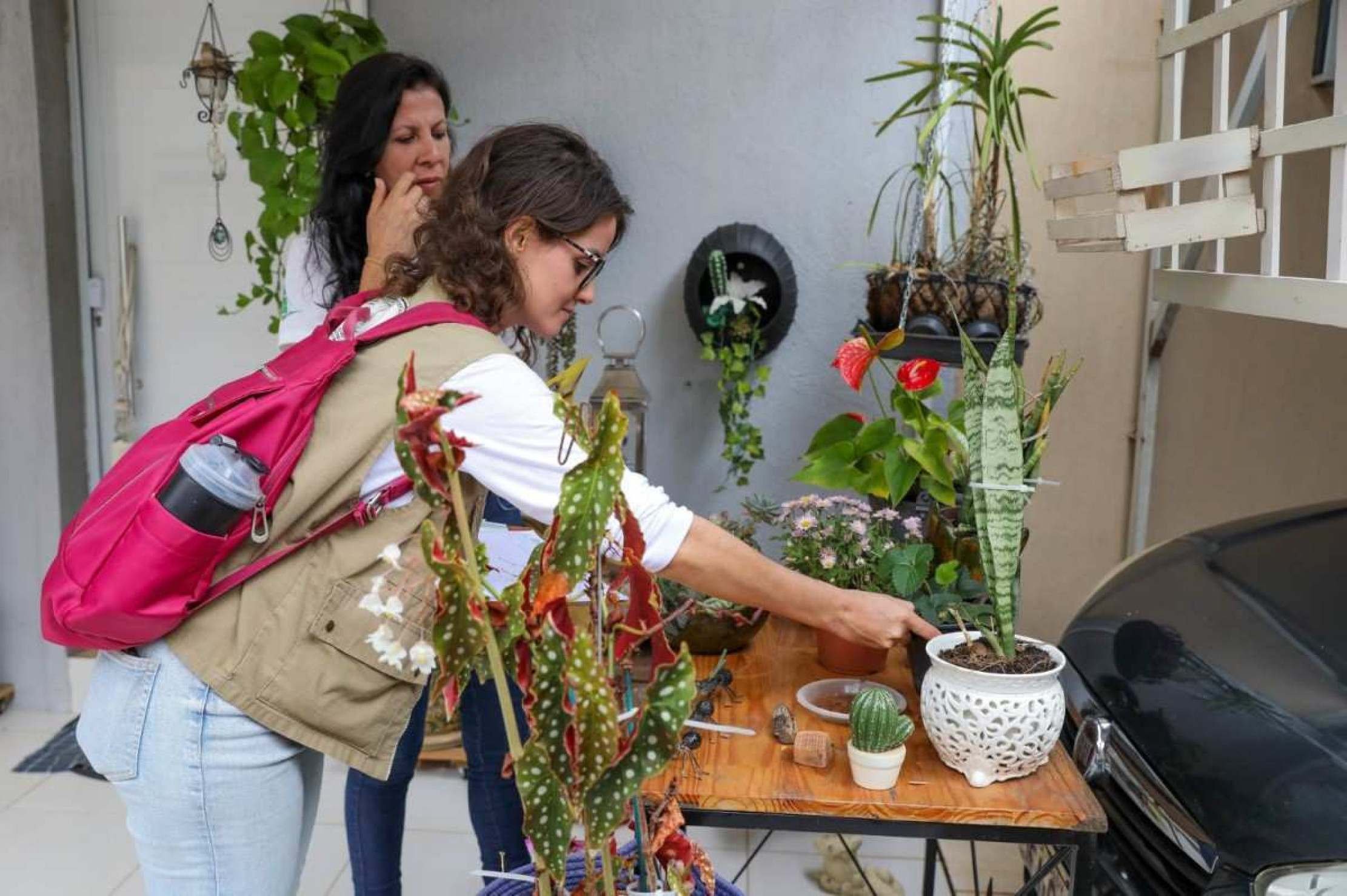 Dia D de mobilização contra a dengue começa sábado (14), em Ceilândia