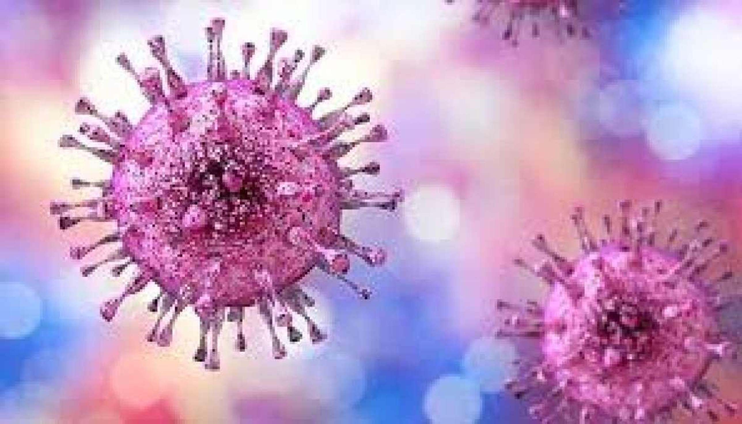 Cerca de 846 milhões de pessoas têm o vírus da herpes simples