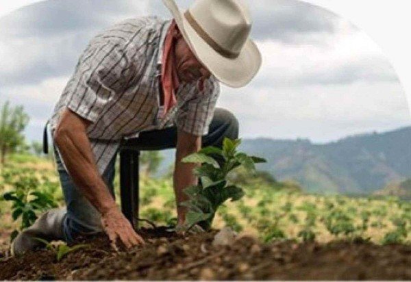 Croplife/Divulgação