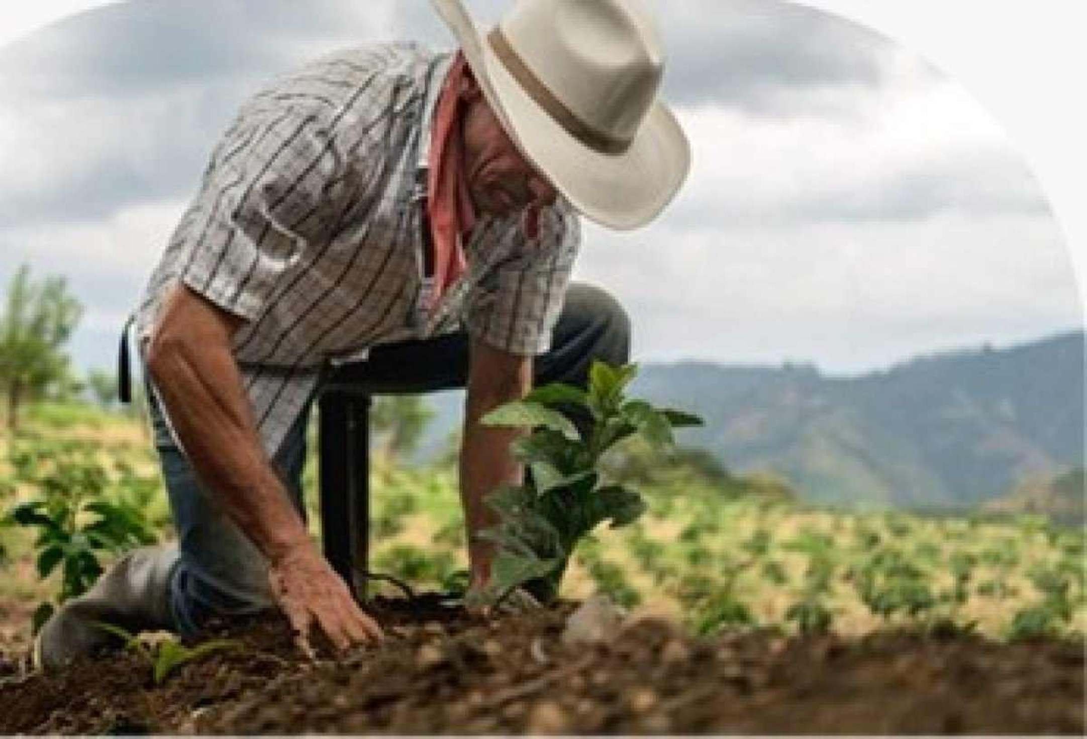 Uso de bioinsumos deve crescer até 3% na safra agrícola 2024/2025