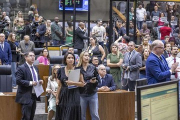 A votação foi tensa, com as galerias da Câmara tomadas por manifestantes favoráveis e contrários à iniciativa -  (crédito:  Fernando Antunes/CMPA)