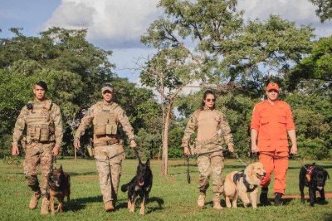 O DF possui uma delegacia específica para denunciar os maus tratos, a Delegacia de Repressão aos Crimes contra os Animais (DCRA), da PCDF - (crédito: Reprodução/ Agência Brasília) O DF possui uma delegacia específica para denunciar os maus tratos, a Delegacia de Repressão aos Crimes contra os Animais (DCRA), da PCDF - (crédito: Reprodução/ Agência Brasília)