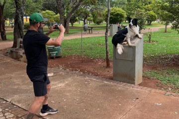 Um cão modelo - Blog | Nosso Parque da Cidade - 