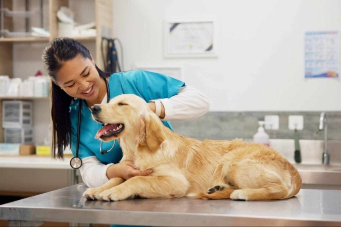 As consultas de rotina ajudam a preservar a qualidade de vida dos pets (Imagem: PeopleImages.com - Yuri A | Shutterstock)  -  (crédito: EdiCase)