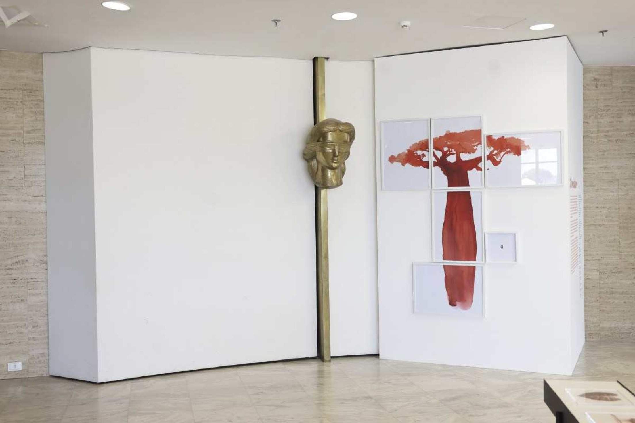 Christus Nóbrega faz exposição contrária à homofobia no STF 