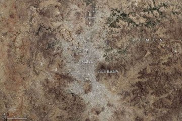 Imagem capturada pela Nasa e pelo Serviço Geológico dos EUA da vegetação de 500 cidades no mundo -  (crédito: Wanmei Liang, Observatório da Terra da NASA)