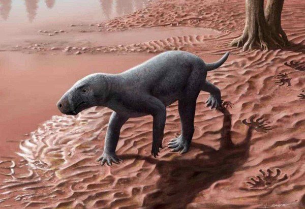 Reprodução/Henry Sutherland Sharpe