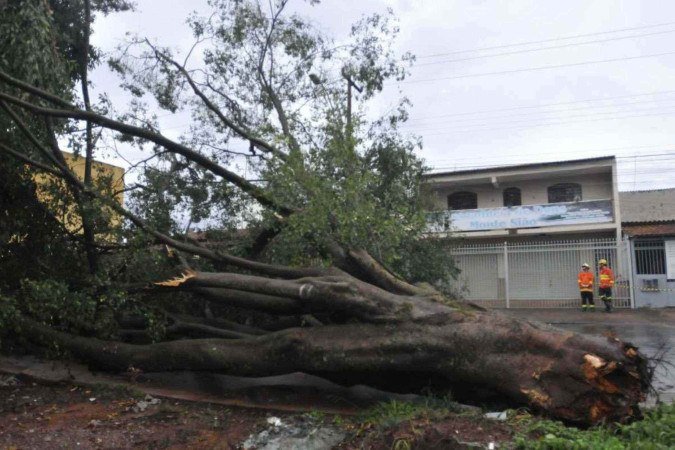  19/12/2024. Crédito: Minervino Júnior/CB/D.A Press. Brasil.  Brasilia - DF. Estragos da chuva na Ceilândia. Derrubada de árvove na QNP 05