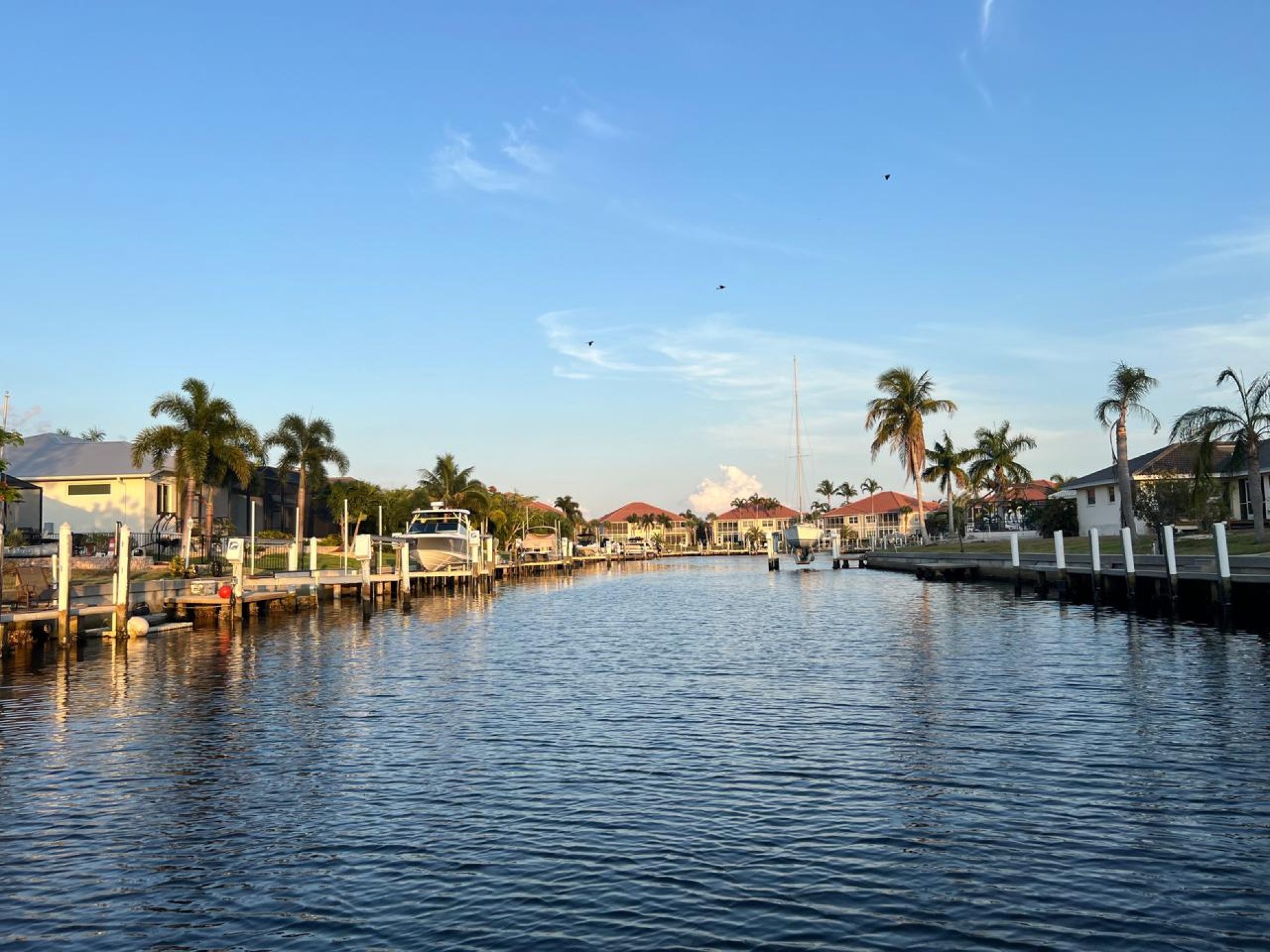 5 atrações imperdíveis em Punta Gorda, no sudoeste da Flórida