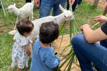 Giovana conta que os visitantes ficam encantados com o tratamento dado às cabras da queijaria -  (crédito: Arquivo pessoal)