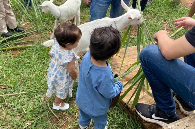 Giovana conta que os visitantes ficam encantados com o tratamento dado às cabras da queijaria -  (crédito: Arquivo pessoal)