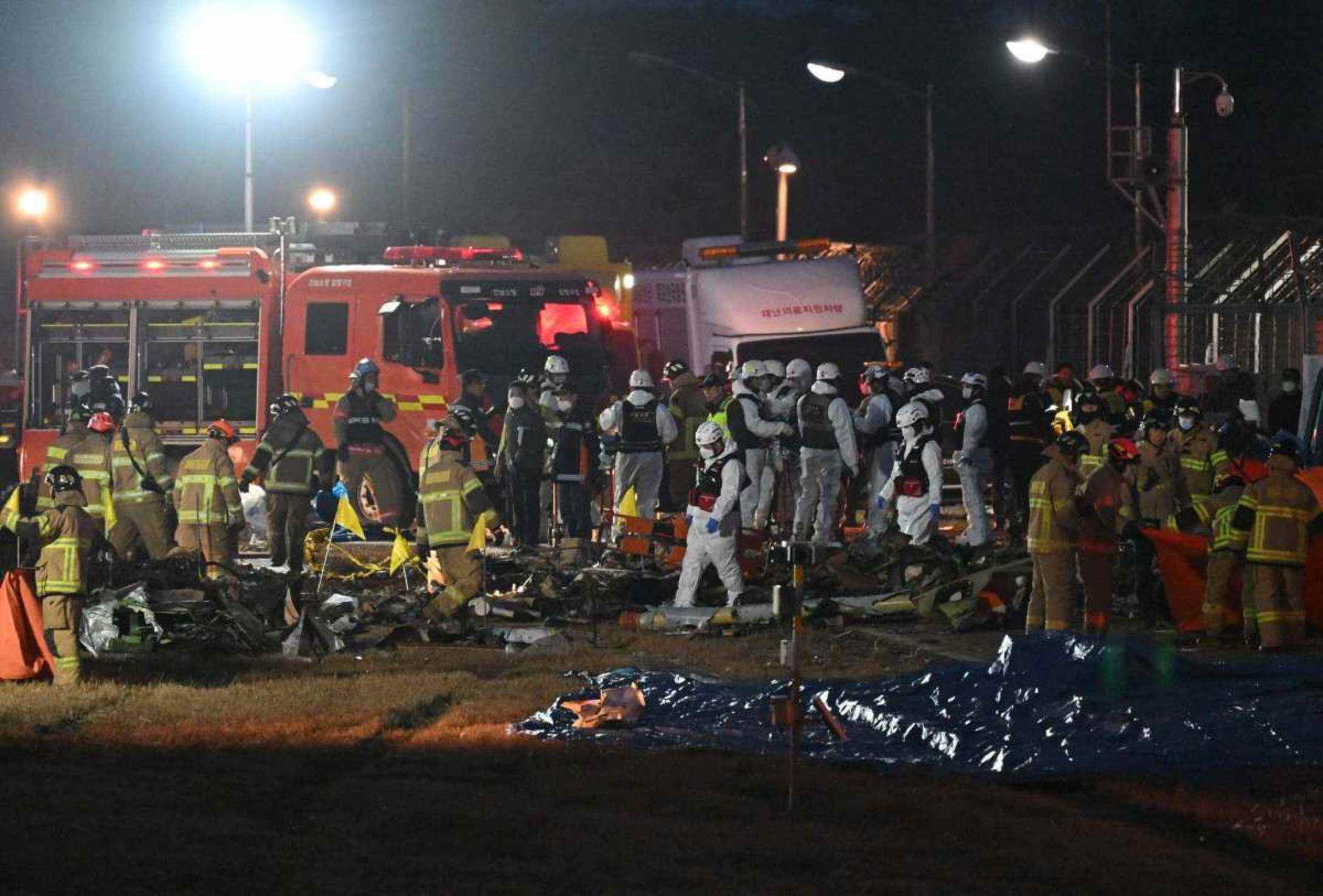 A causa provável do acidente é que uma colisão com pássaros tenha gerado problemas com o trem de pouso