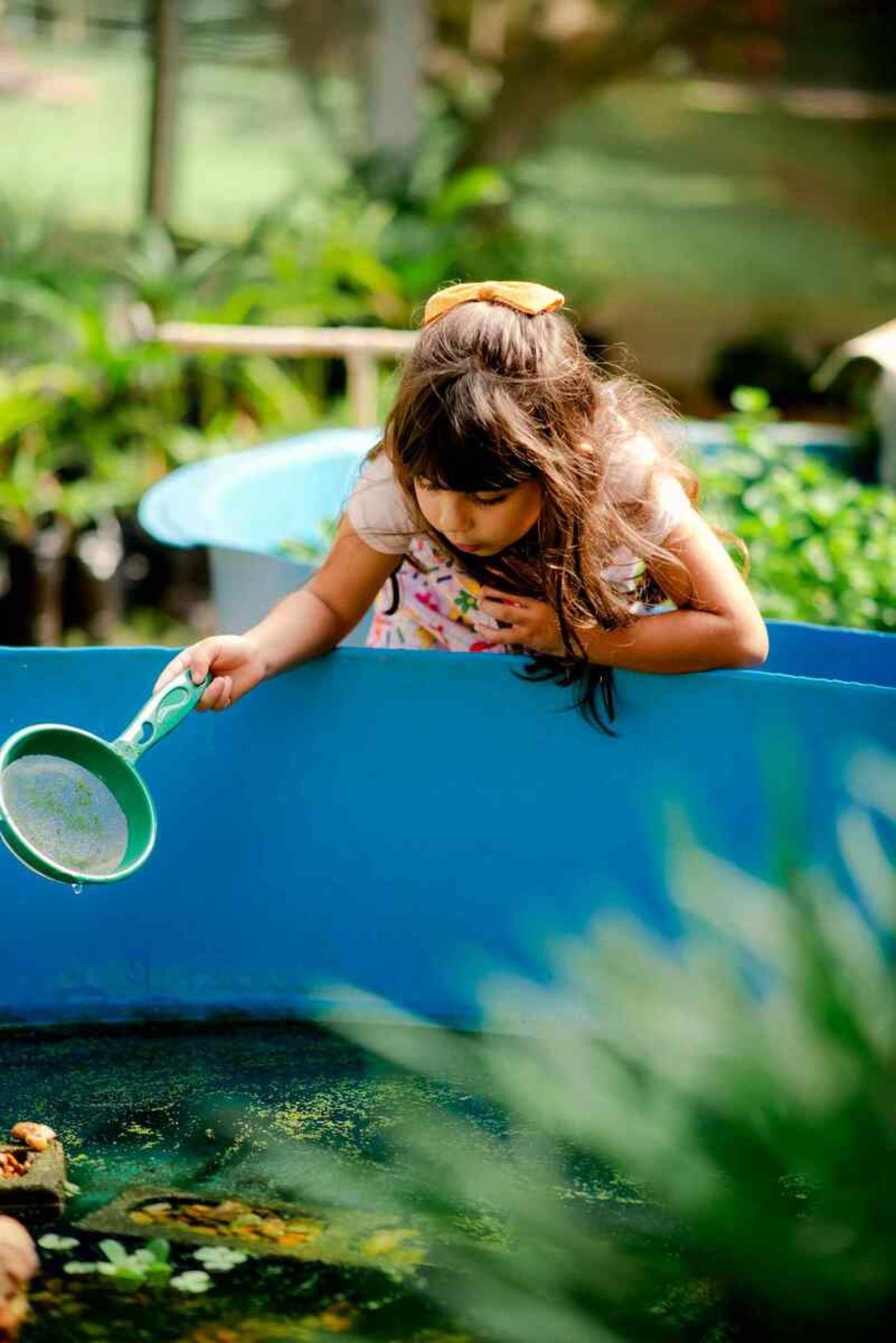 Colônia de férias da Pine Tree Farm