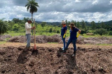 A formação de leiras é uma parte do processo de produção do fertilizante -  (crédito: Divulgação)