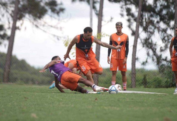   PEDRO SANTANA / CB