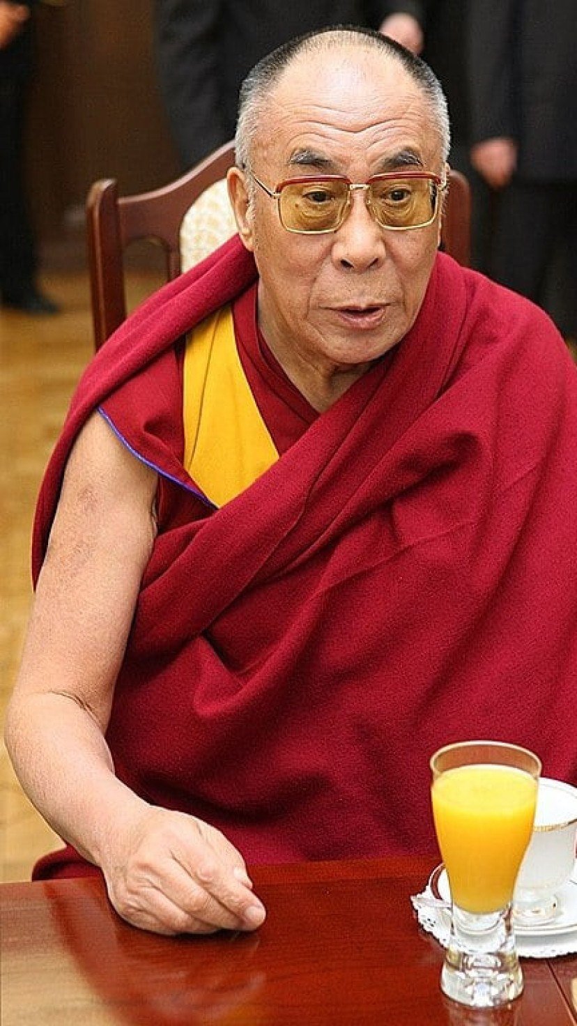 期間限定お値下げ！早い者勝ち！　ＴＨＥ　ＤＡＬＡＩ　ＬＡＭＡ 期間限定お値下げ！早い者勝ち！ THE DALAI LAMA Dalai